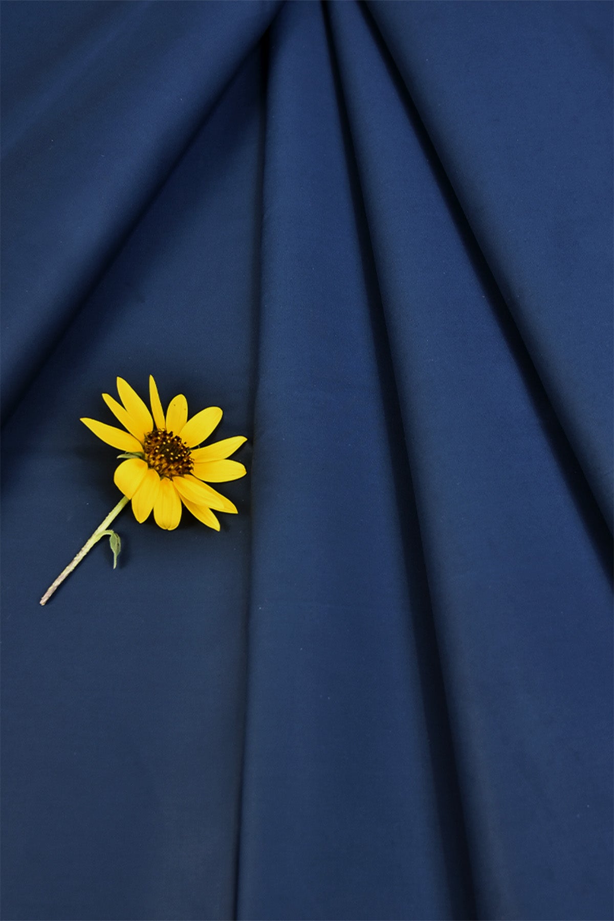 ELITE SOFT COTTON - ESSENTIAL COTTON