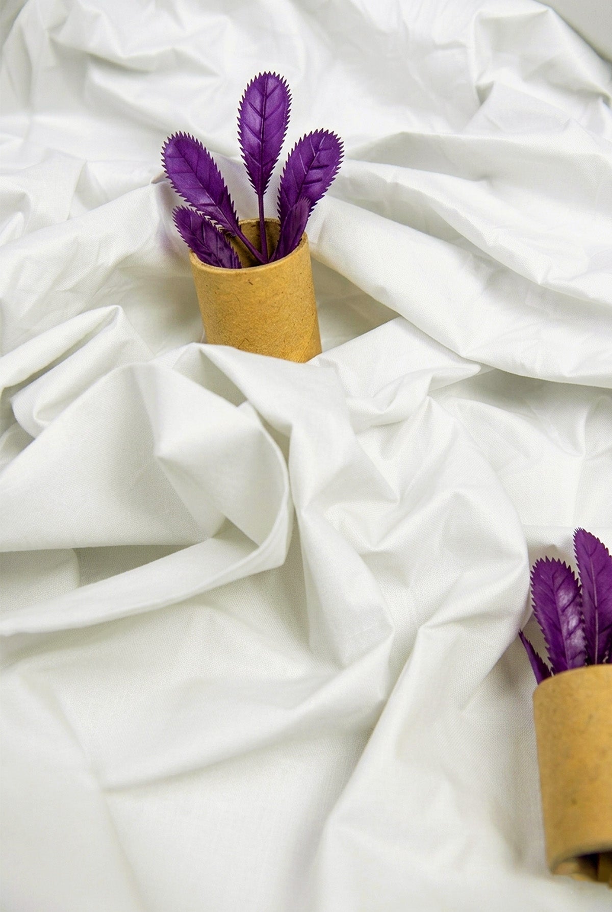 ROYAL CHOICE SNOW WHITE